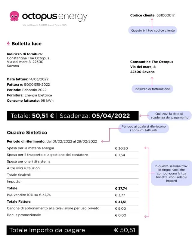bolletta Octopus Energy